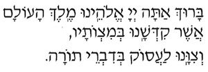 Torah Study hebtorahstudy